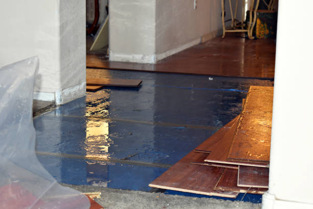 Professional Basement Water Removal technician working in Kingwood, TX